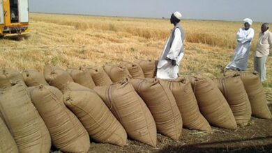 إيران تشتري ٣ ملايين طن من القمح.
