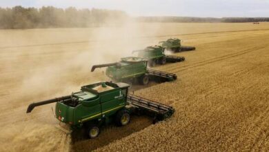 روسيا تنتظر محصولاً قياسياً من الحبوب